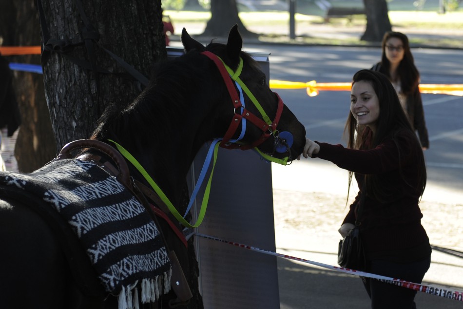 3927 | Equinoterapia en calle recreativa.  - Dir. Gral. de Comunicación Social (Franco Trovato)