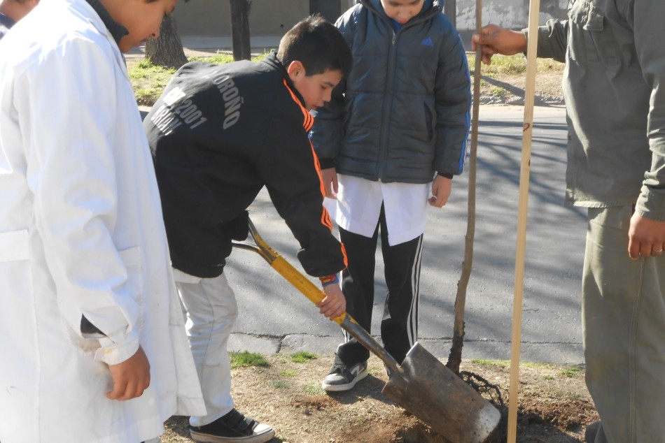 7931 | Plantación de árboles en el barrio Sindicato de la Carne - Municipalidad de Rosario