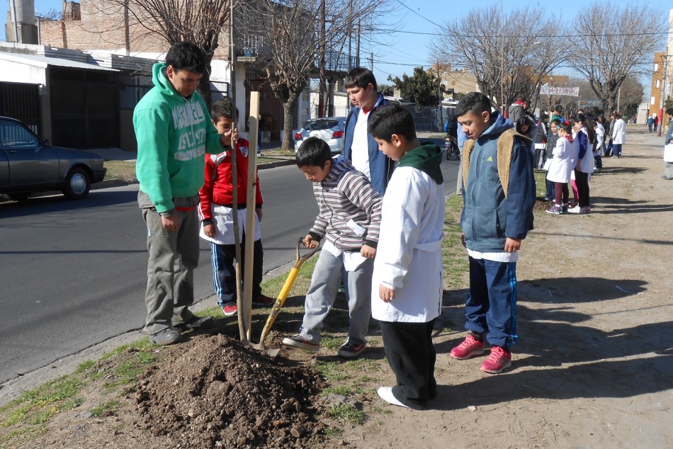 7933 | Plantación de árboles en el barrio Sindicato de la Carne - Municipalidad de Rosario
