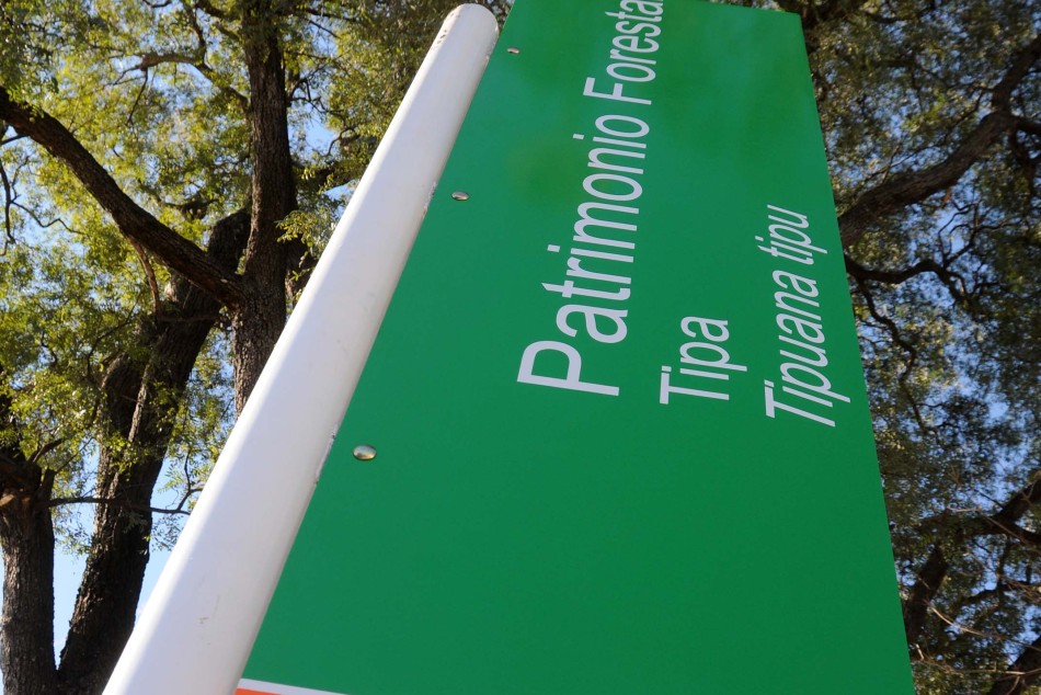 9191 | Día del Árbol - Censo Arbolado 2014  - Dir. Gral. de Comunicación Social (Marcelo Beltrame)