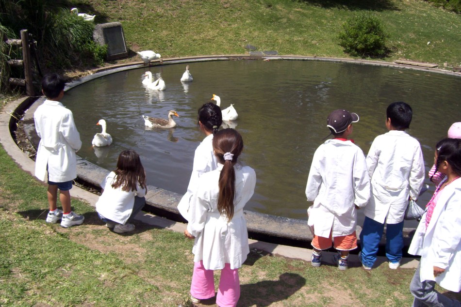 15704 | Ninos de distintos distritos participarán de paseos culturales y recreativos -