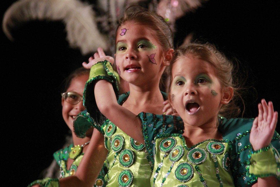 21863 | El Carnaval 2015 llega a Rosario - Municipalidad de Rosario (Guillermo Turin - archivo)