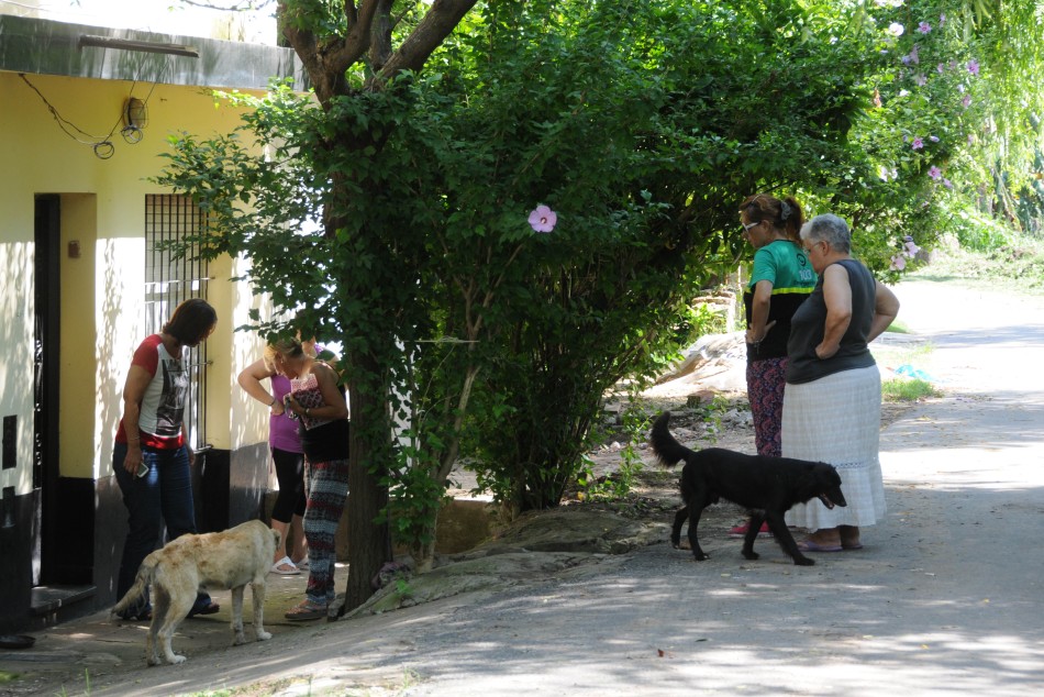 44619 | Operativo Coen en Mangrullo - Dir. Gral. de Comunicación Social (Silvio Moriconi)