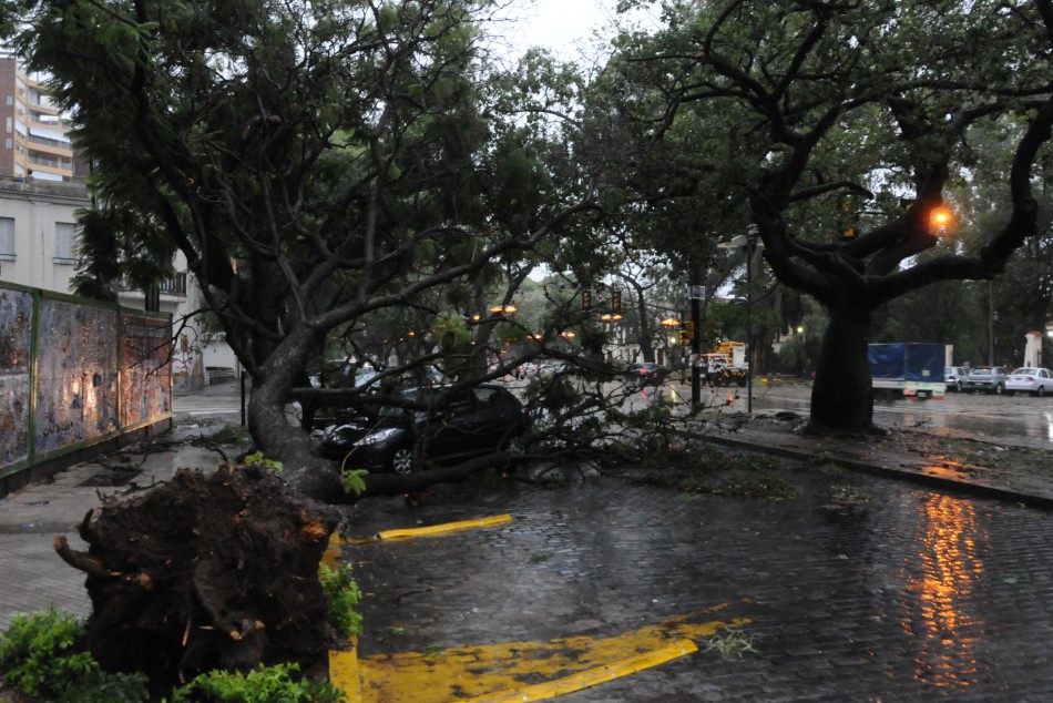 47070 | Temporal en Rosario - Dir. Gral. de Comunicación Social (Silvio Moriconi)