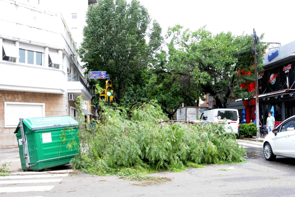 47098 | Daños ocasionados por la tormenta - Dir. Gral. de Comunicación Social (Silvio Moriconi)