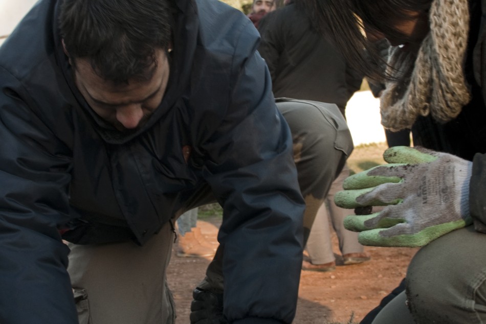 95547 | Comenzó la plantación de más de 7.000 rosales en el Rosedal - Micaela Pertuzzo