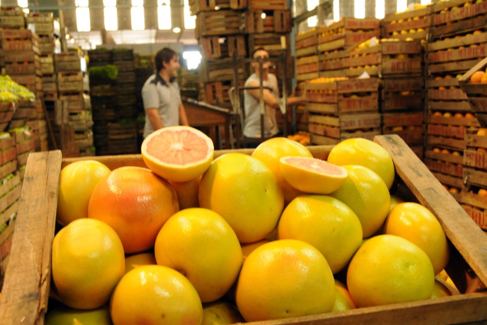 110495 | Mercado de Productores Rosario - Dir. Gral. de Comunicación Social (Silvio Moriconi)