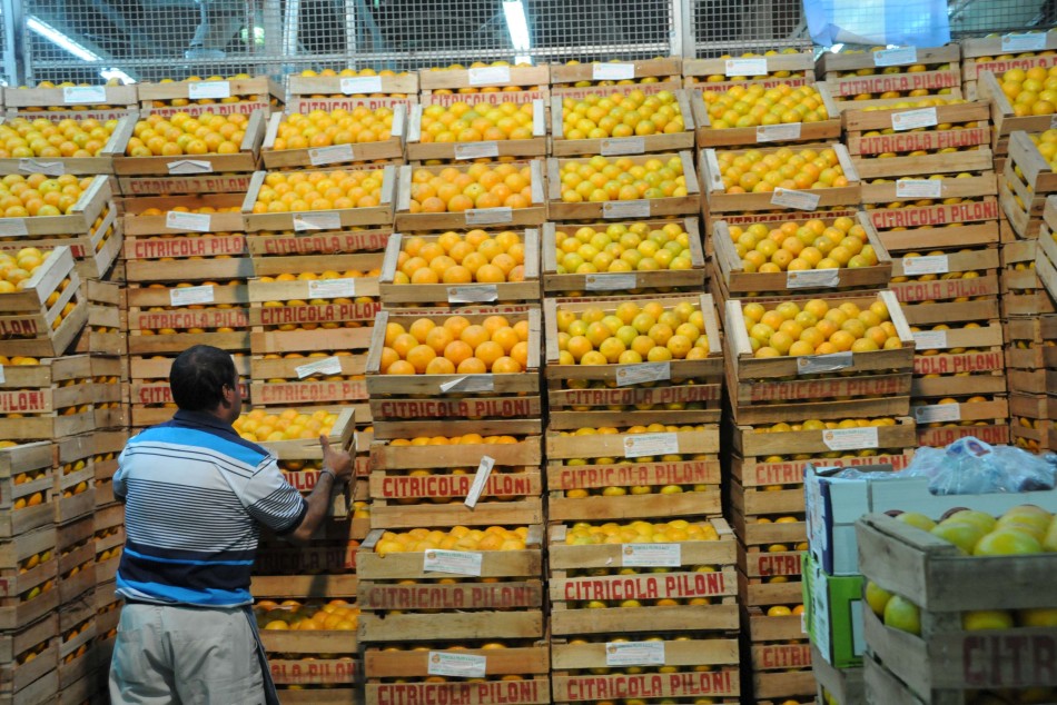 110499 | Mercado de Productores Rosario - Dir. Gral. de Comunicación Social (Silvio Moriconi)