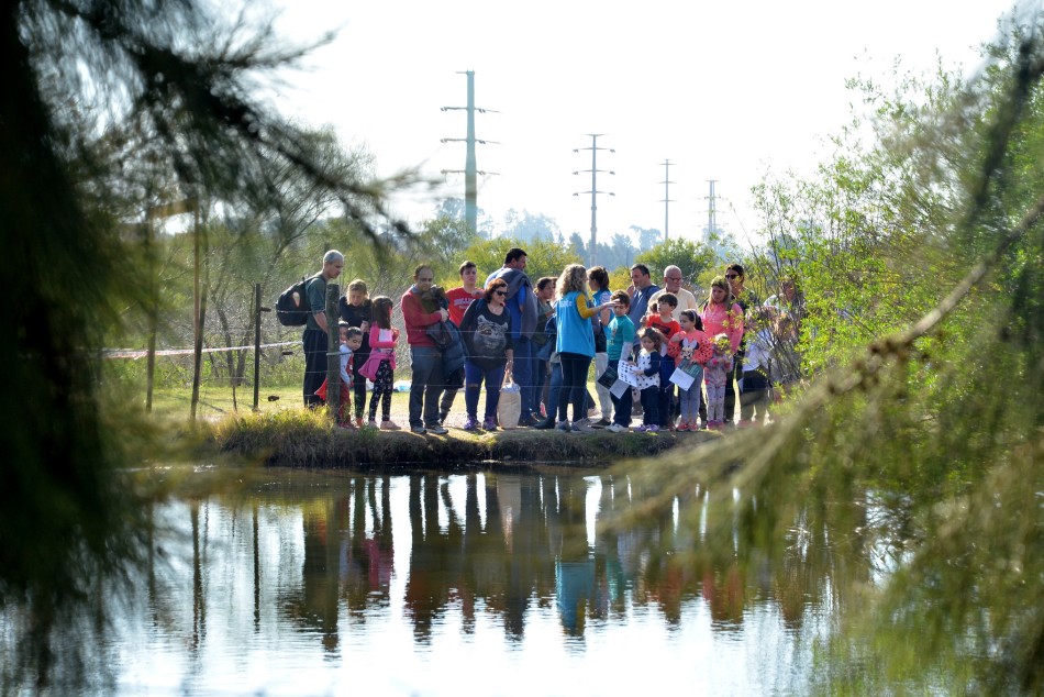 161073 | Bosque de los Constituyentes - Sec. de Ambiente y Espacio Público