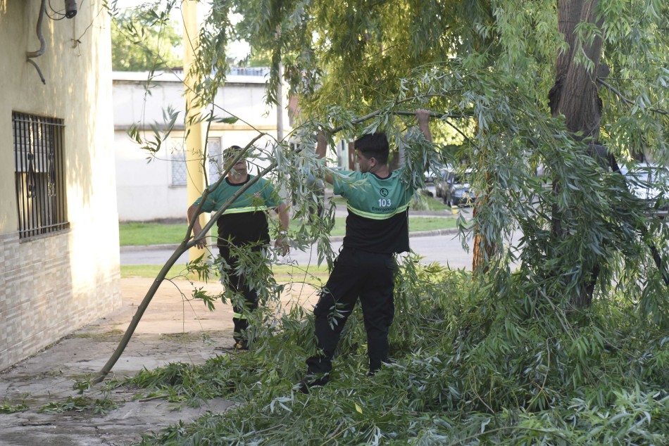 171042 | Archivo - Subsecretaría de Comunicación Social (Franco Trovato)