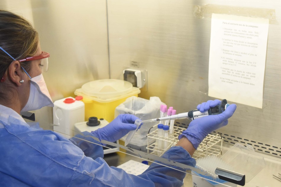 252967 | CEMAR análisis de detección de coronavirus - Subsecretaría de Comunicación Social (Silvio Moriconi)