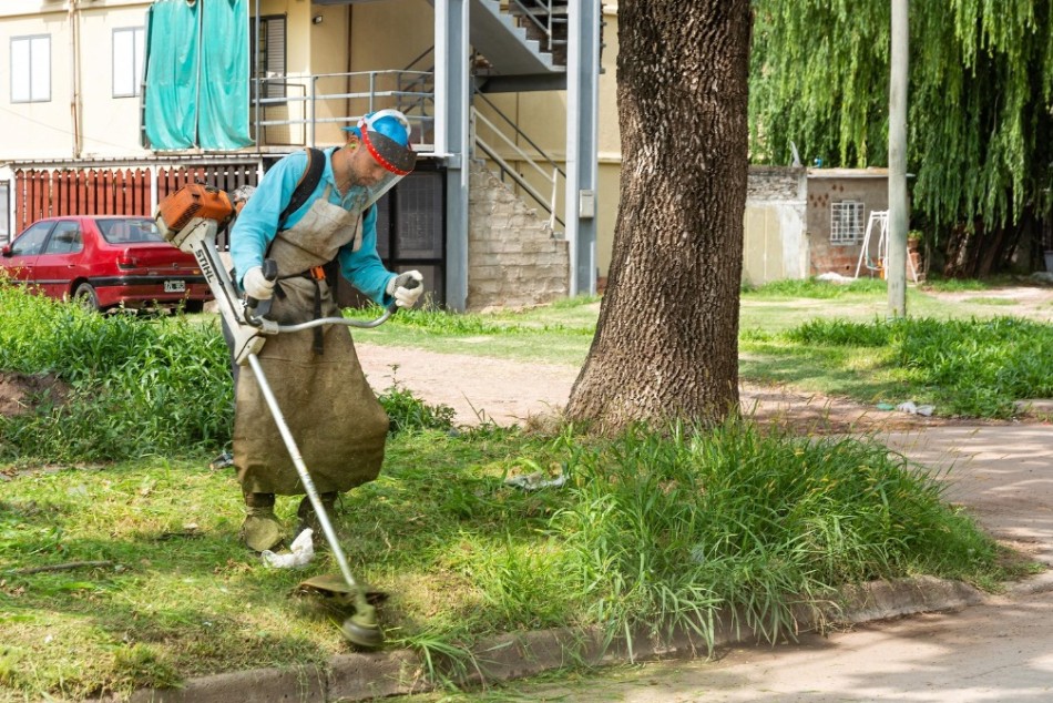 254656 | El municipio refuerza las tareas de desmalezado en espacios públicos y calles de la ciudad - Juan Pablo Allegue