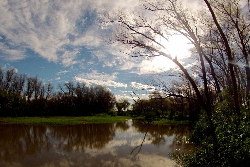 268720 | Humedales islas con y sin fuego  - Subsecretaría de Comunicación Social (Silvio Moriconi)