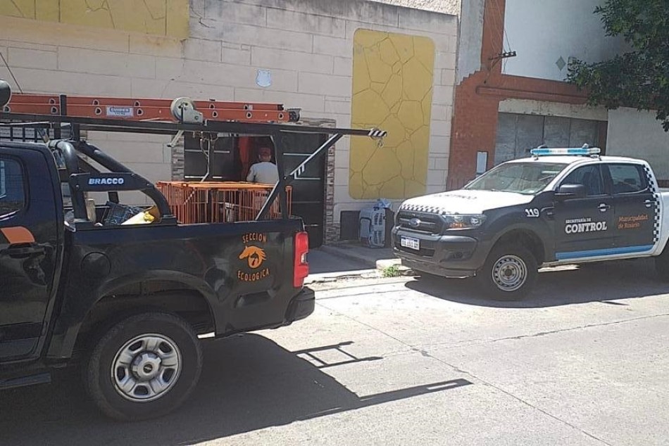 291050 | Rescate de perros  - Secretaría de Control y Convivencia