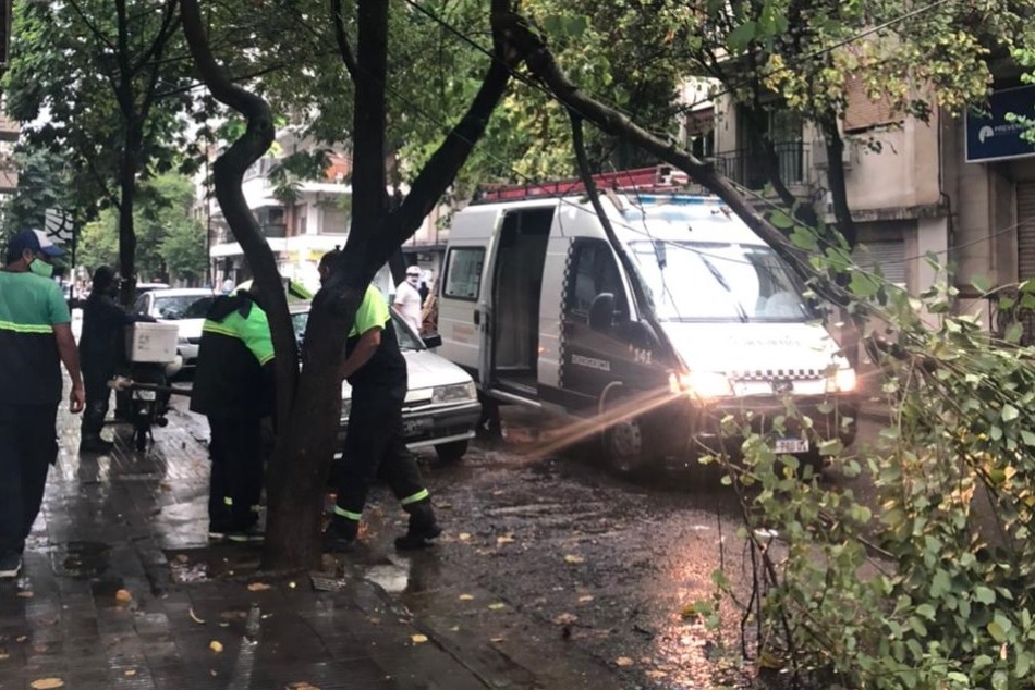 296477 | Temporal: cuadrillas del municipio trabajan en toda la ciudad para dar respuesta a reclamos -
