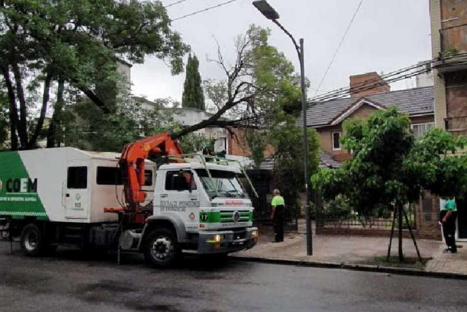 296479 | Temporal: cuadrillas del municipio trabajan en toda la ciudad para dar respuesta a reclamos -