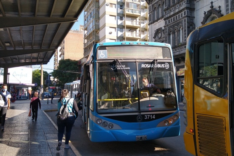 304911 |  - Careli Vivas