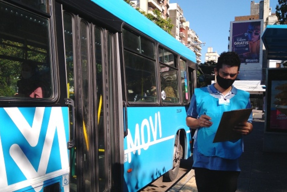 304910 |  - Careli Vivas