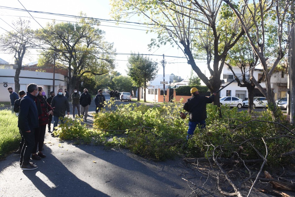 307196 | Poda y escamonda Bº Azcuénaga - Subsecretaría de Comunicación Social (Silvio Moriconi)