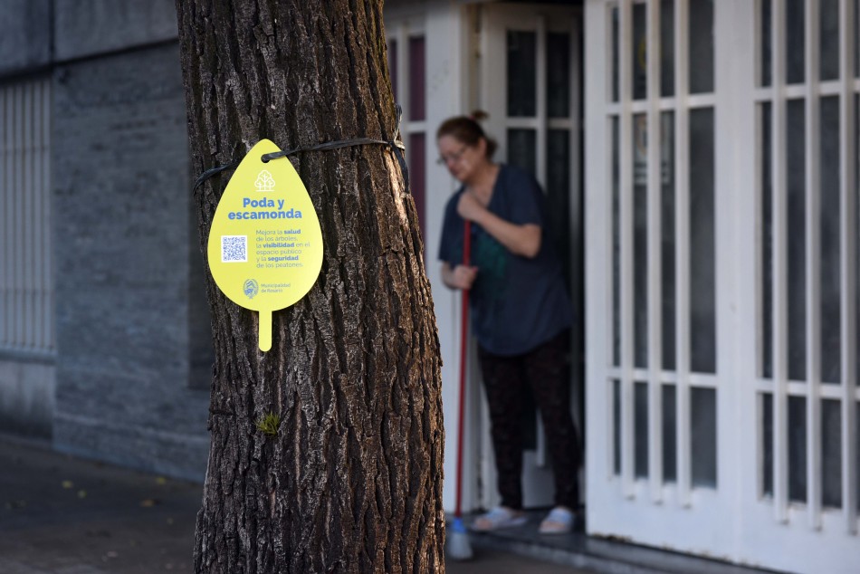 307202 | Poda y escamonda Bº Azcuénaga - Subsecretaría de Comunicación Social (Silvio Moriconi)