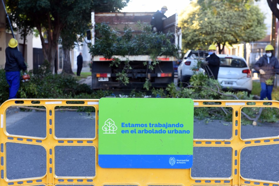 307204 | Poda y escamonda Bº Azcuénaga - Subsecretaría de Comunicación Social (Silvio Moriconi)