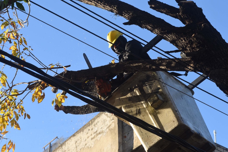 307205 | Poda y escamonda Bº Azcuénaga - Subsecretaría de Comunicación Social (Silvio Moriconi)