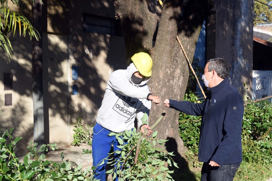 307208 | Poda y escamonda Bº Azcuénaga - Subsecretaría de Comunicación Social (Silvio Moriconi)