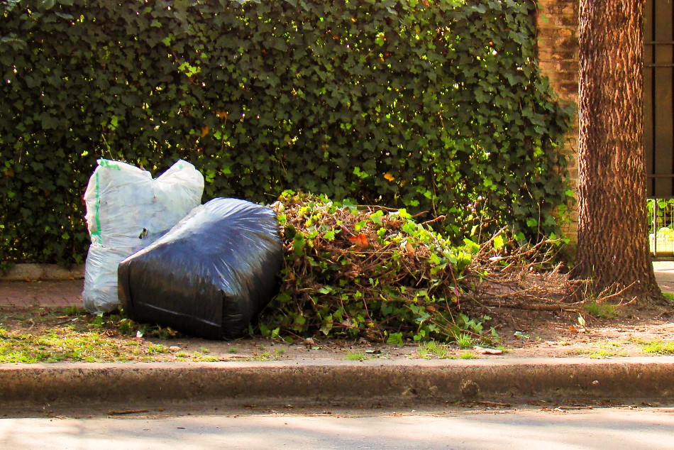 310394 |  - Juan Pablo Allegue