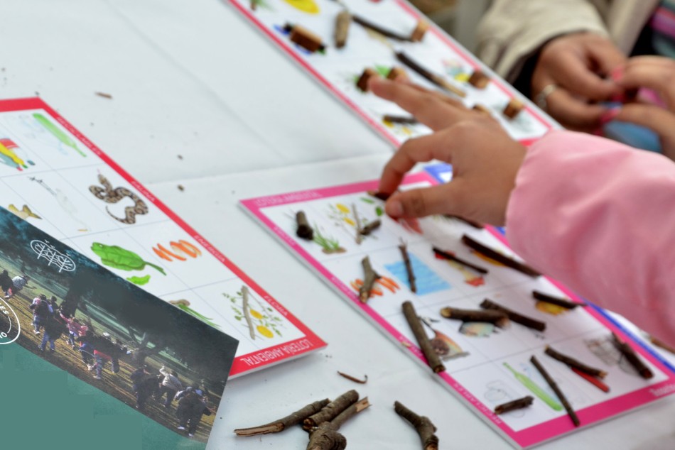 313456 | Archivo - Secretaría de Ambiente y Espacio Público