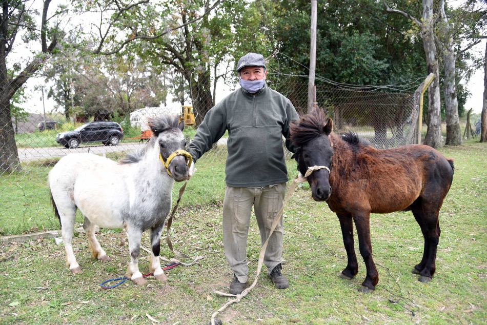 327669 | Entrega en adopción de caballos recuperados - Subsecretaría de Comunicación Social (Silvio Moriconi)
