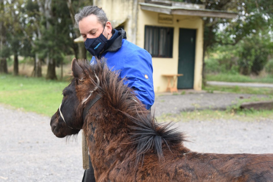 327672 | Entrega en adopción de caballos recuperados - Subsecretaría de Comunicación Social (Silvio Moriconi)