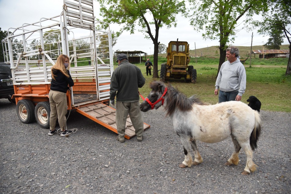 327673 | Entrega en adopción de caballos recuperados - Subsecretaría de Comunicación Social (Silvio Moriconi)