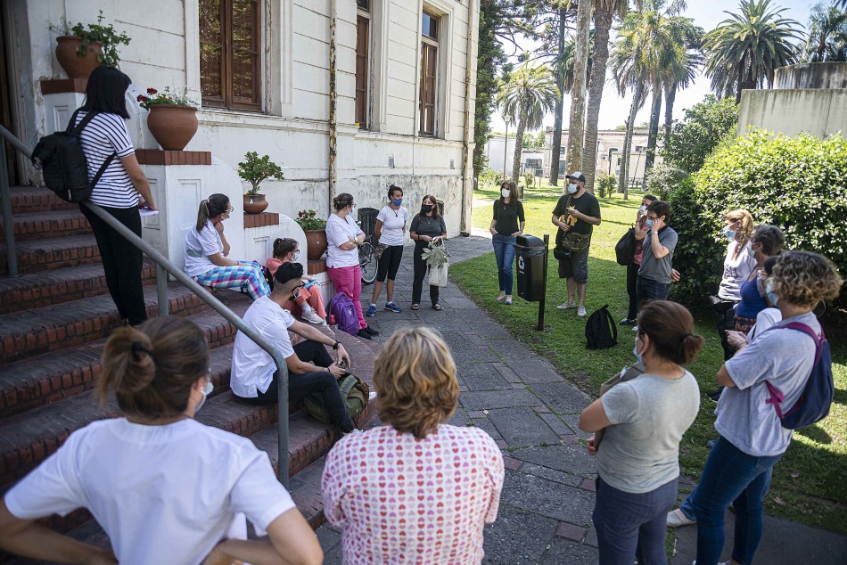 333670 | Plantas medicinales  - Sec. de Salud Pública (Guillermo Fernández)