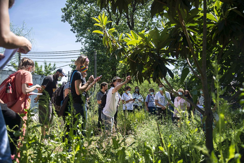333673 | Plantas medicinales  - Sec. de Salud Pública (Guillermo Fernández)