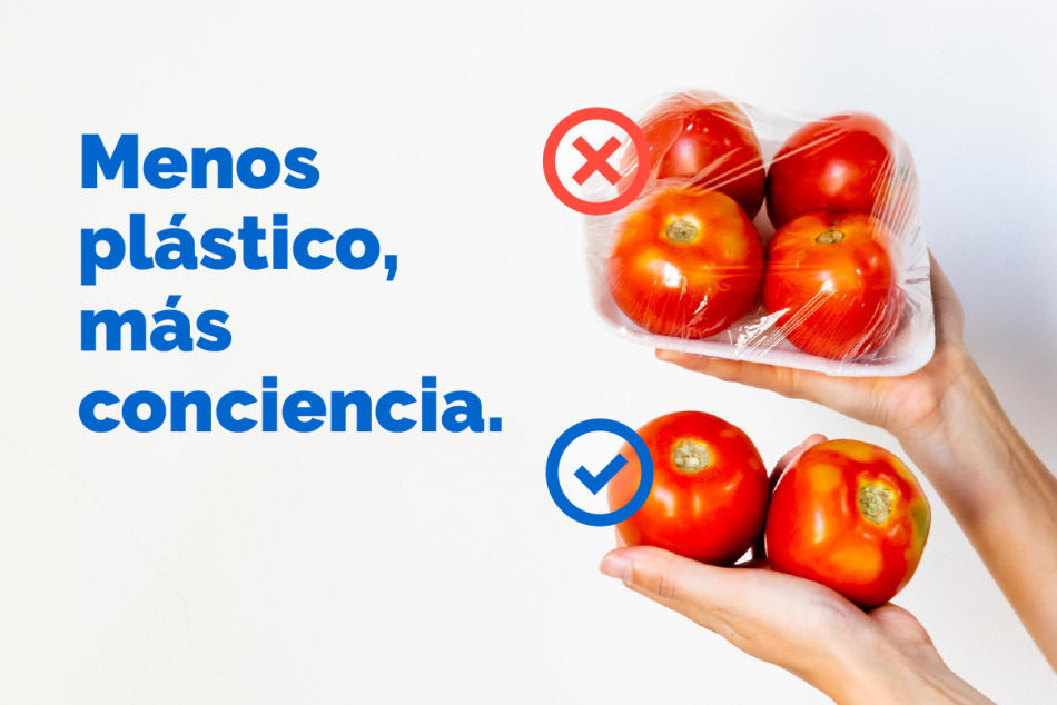 339828 |  - Juan Pablo Allegue