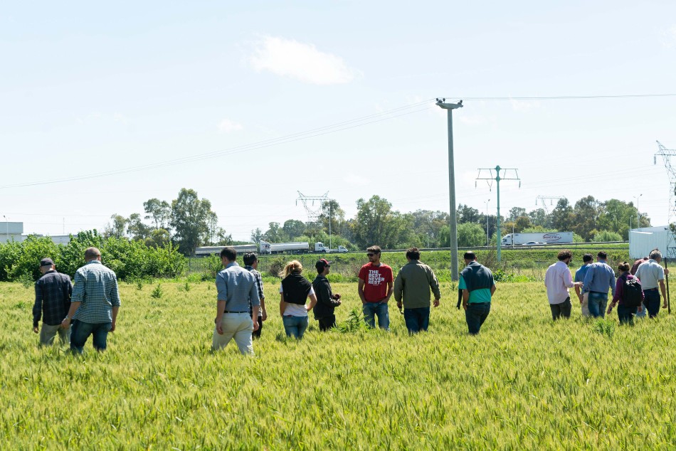 340824 | Recorrida por el Cinturón Verde - Municipalidad de Rosario