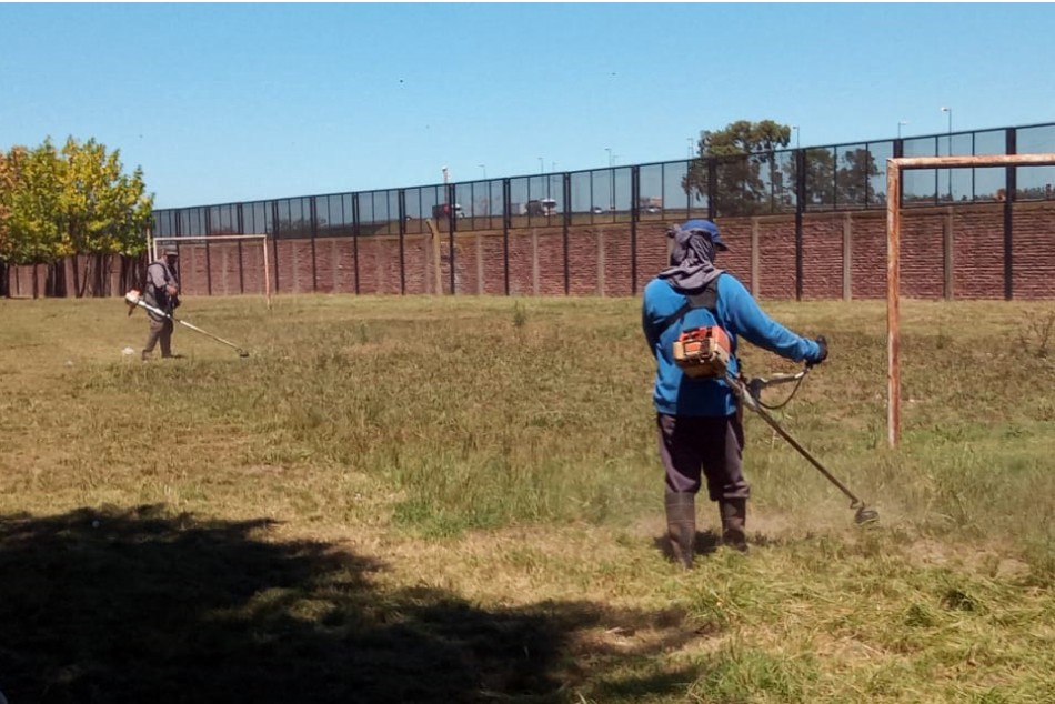 348358 | Acciones en escuelas  - FAE