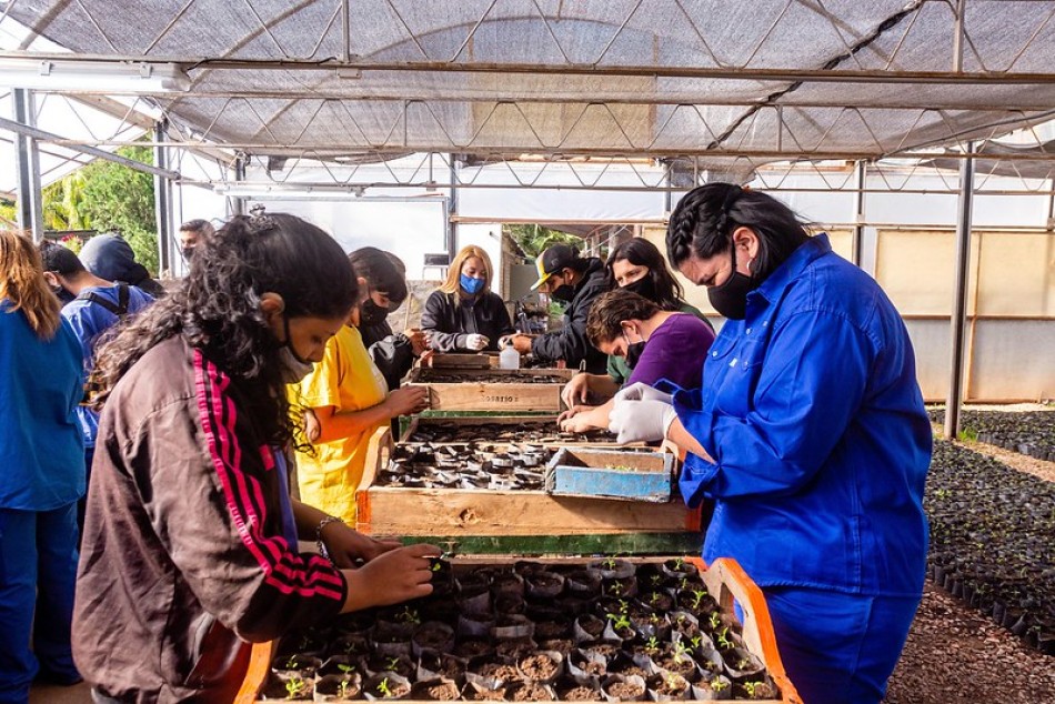 351541 | Escuela de Jardinería - Municipalidad de Rosario