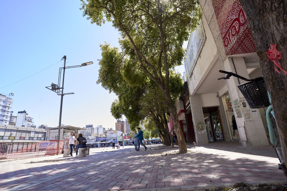 355243 | OBra en peatonal san martín - Subsecretaría de Comunicación Social (Daniel Cuart)