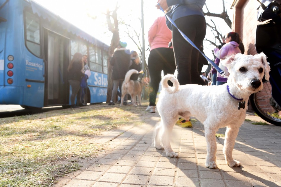 380772 | Operativo en Barrio Antártida Argentina - Subsecretaría de Comunicación Social (Silvio Moriconi)