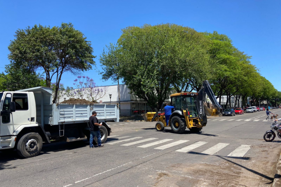 393238 | Limpieza y mantenimiento - Sergio Flores - Distrito Sur