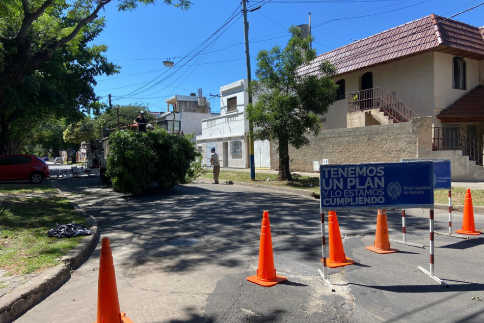 393239 | Tareas de escamonda - Sergio Flores - Distrito Sur