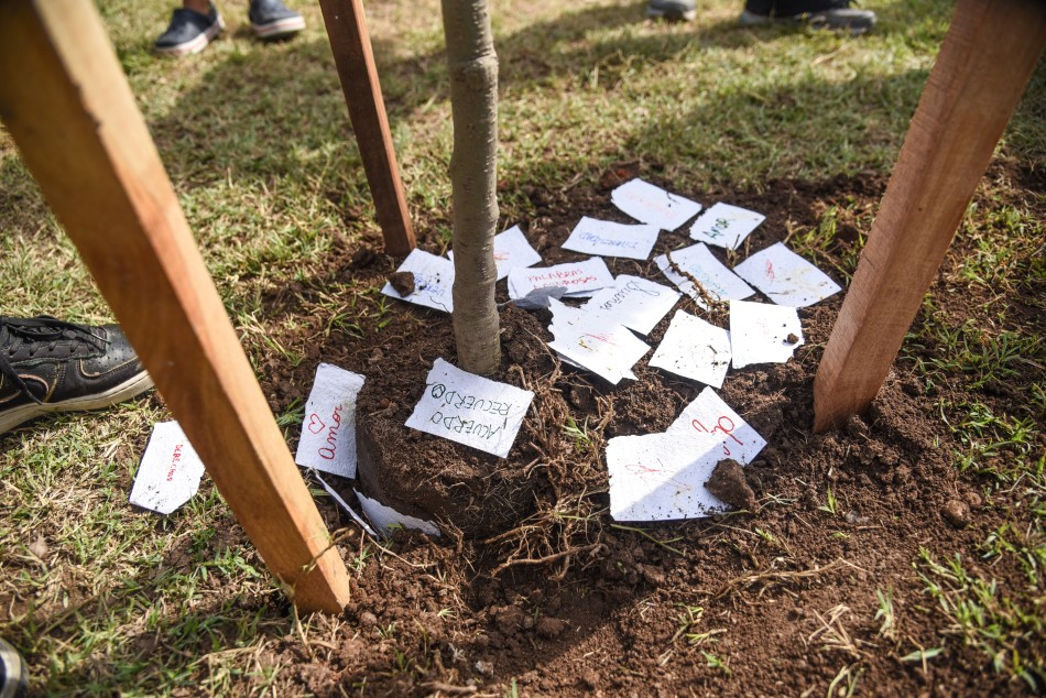 412176 | Plantación de árboles en Bosque de la Memoria - Subsecretaría de Comunicación Social (Jonatan Bustos)