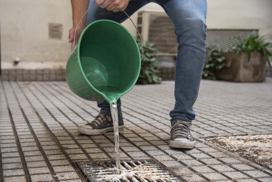 417884 | Prevención mosquitos dengue y chikungunya - Subsecretaría de Comunicación Social (Silvio Moriconi - archivo)