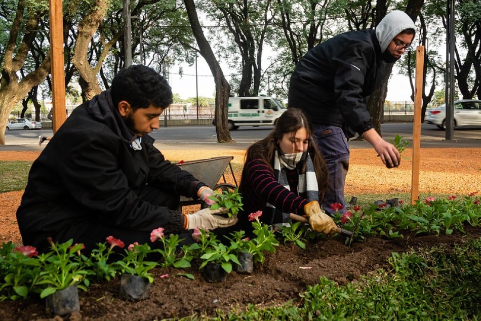 423852 | Canteros Florales  - Juan Pablo Allegue
