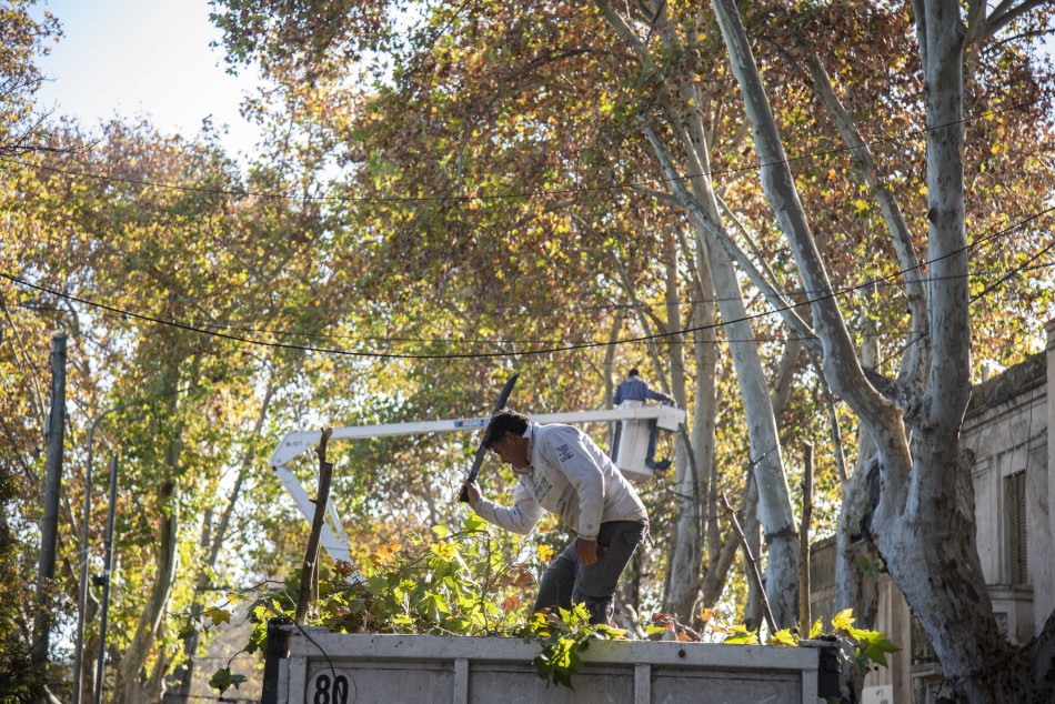 424231 | Archivo - Subsecretaría de Comunicación Social (Silvio Moriconi)