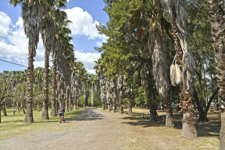 444584 |  - Juan Pablo Allegue