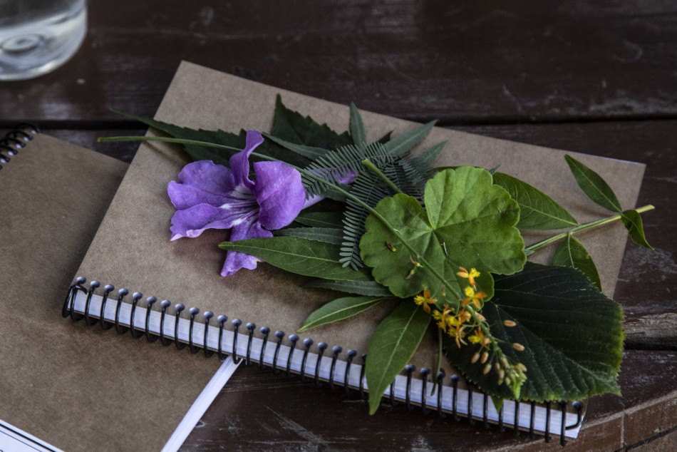456267 | Herbario Botánico en Embarcaderos - Sec. de Cultura y Educación (Guillermo Turin Bootello)