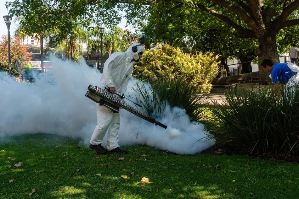 461958 |  - Juan Pablo Allegue