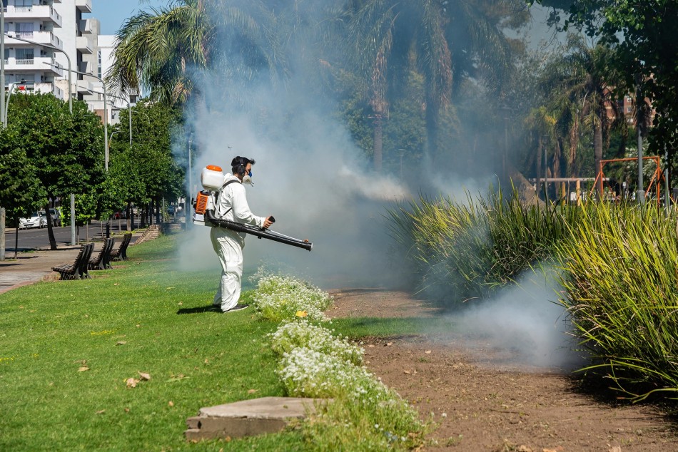 461959 |  - Juan Pablo Allegue